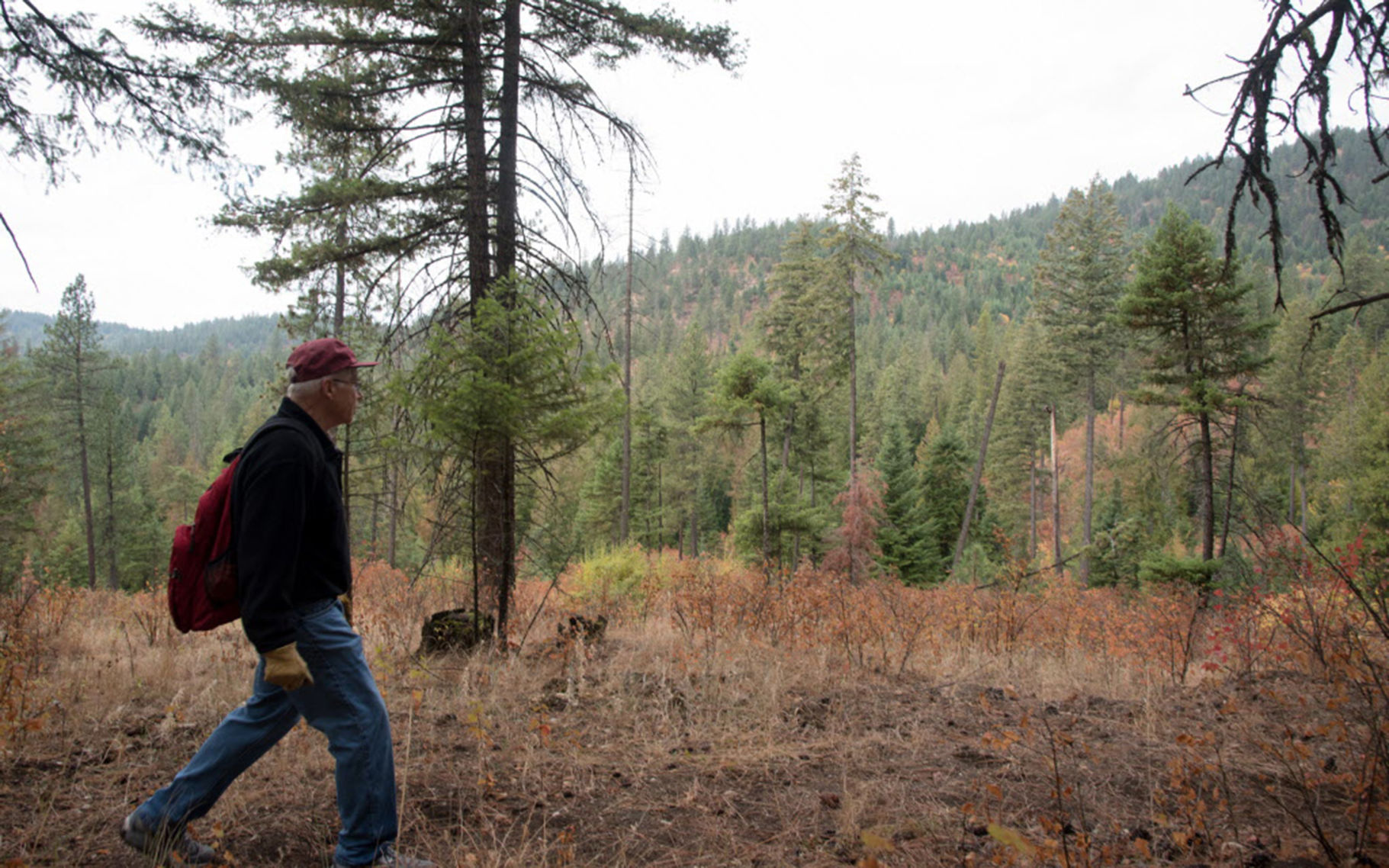 Vision Quest Trail 2